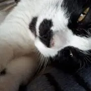 ミラ✨