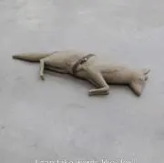 かる