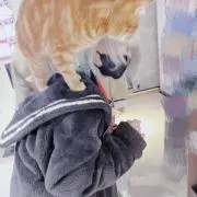 あのねのしもべの画像