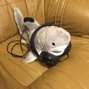さめちゃん
