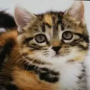 ♡プージィ♡