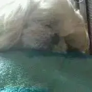 みっこの画像