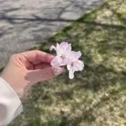 たなかの画像