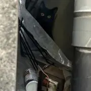 のんのん