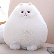 mmの画像