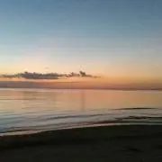 ターキーの画像