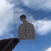 ナマケモノの画像