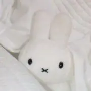 ⭐️の画像