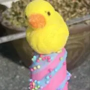 ひよこの画像