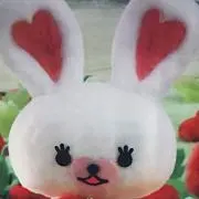 プロフ必読の画像
