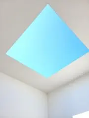noriの画像