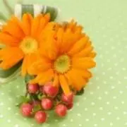 orange*の画像