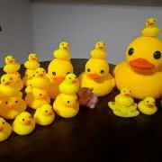 もこ　断捨離中の画像