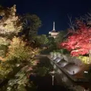 ひろひろの画像