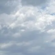 りんごの画像
