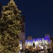 lavidabella41の画像