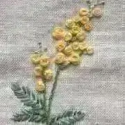 Sakuraの画像