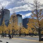 c ※プロフ必読の画像