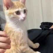 タケル