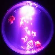 L♡の画像
