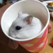 りょう