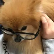 ちい