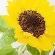 misa☆プロフお読み下さい☆の画像