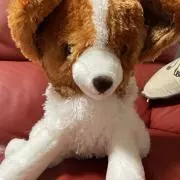 uta