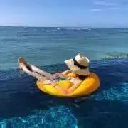 ぴっちの画像