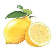 lemonの画像