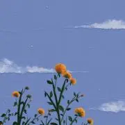 kiraの画像