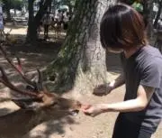 せな