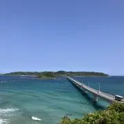 maoriの画像