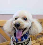kimi☆の画像