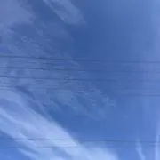 KTの画像
