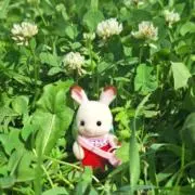 w a aの画像
