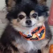 わの画像