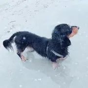 なっつりたーん
