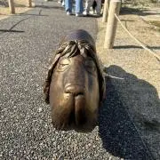 みゆひぃこの画像