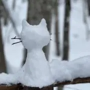 ちぱʕ•ᴥ•ʔのすけ