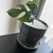 WARMITOの画像