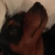 NABIの助