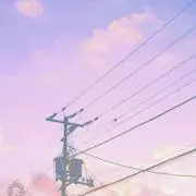 Riiの画像
