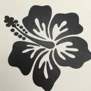 Alohaの画像