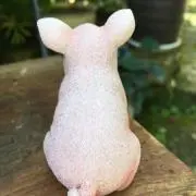 petit cochonの画像