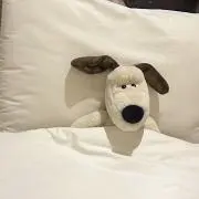 てこ♡の画像