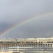 Kikiの画像