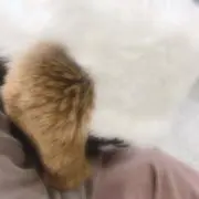 莉茉の画像