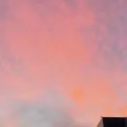 tomo