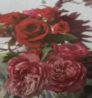 メルベーユの画像